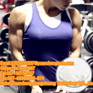 Testosterone Undecanoate (Steroids)   